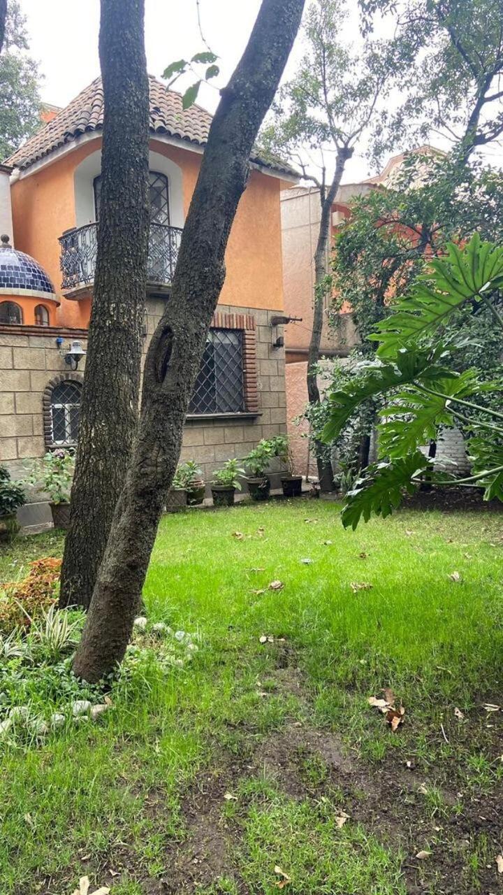 Beautiful House * Mexico City